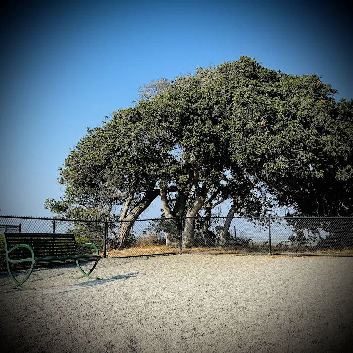 East Garrison Dog Park 5