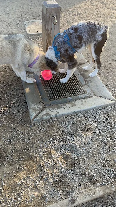 East Garrison Dog Park 9