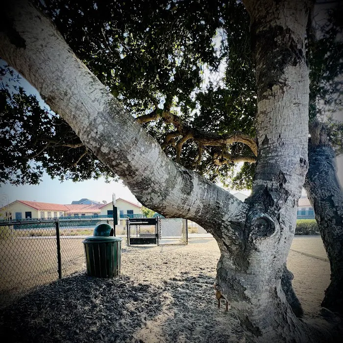 East Garrison Dog Park 7