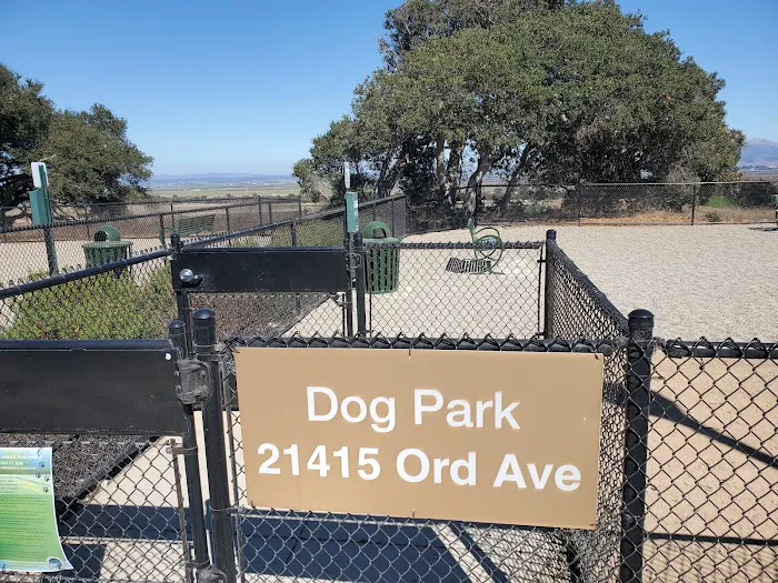 East Garrison Dog Park 6