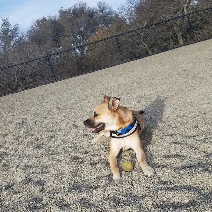 East Garrison Dog Park 1