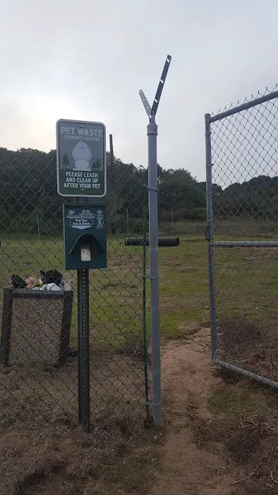 Marshall Park Dog Park 10