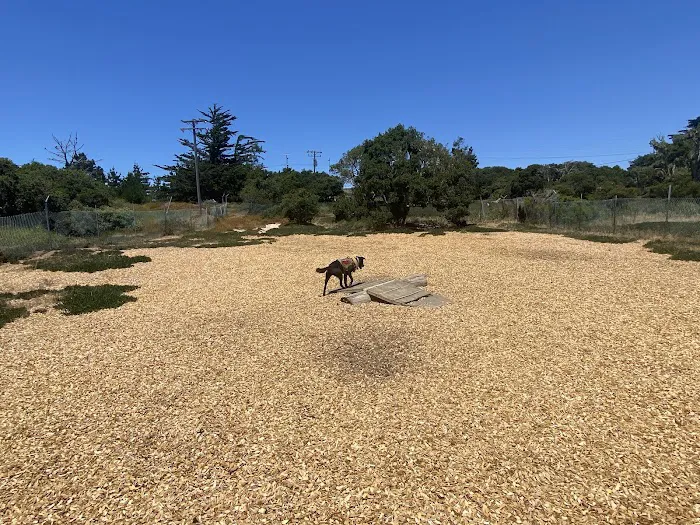 Marshall Park Dog Park 5
