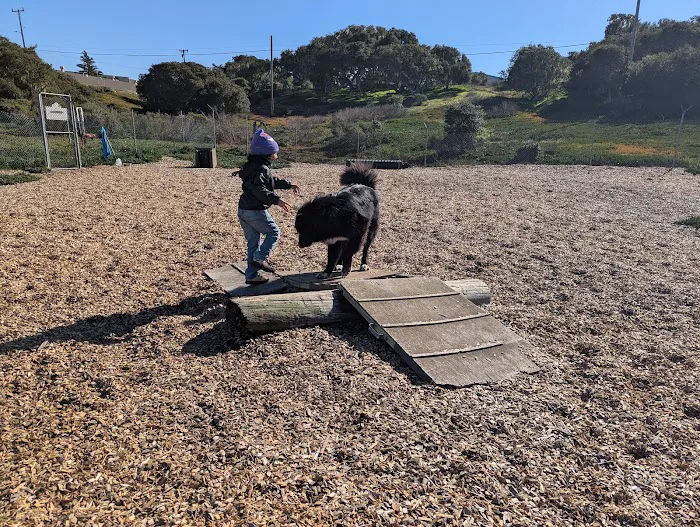 Ft Ord Dog Park 3