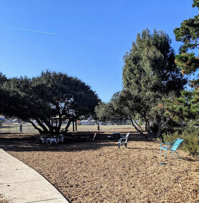Pacchetti Dog Park 9