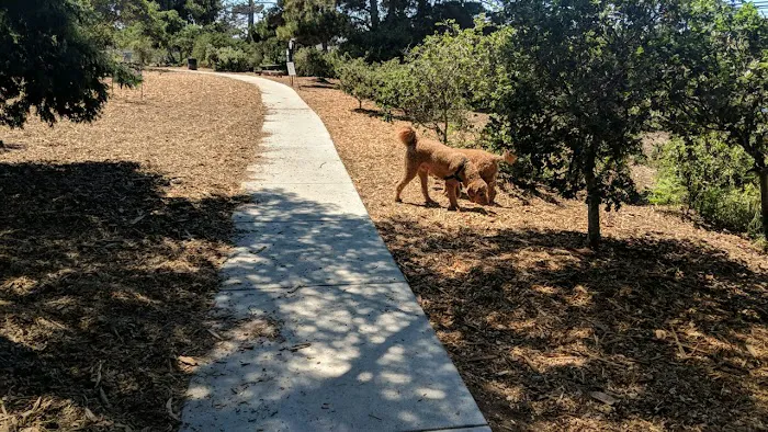 Pacchetti Dog Park 4