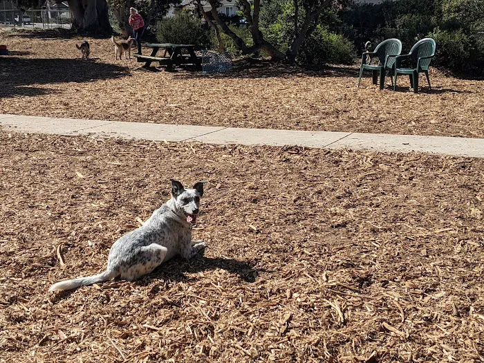 Pacchetti Dog Park 3