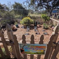 Pacchetti Dog Park ico