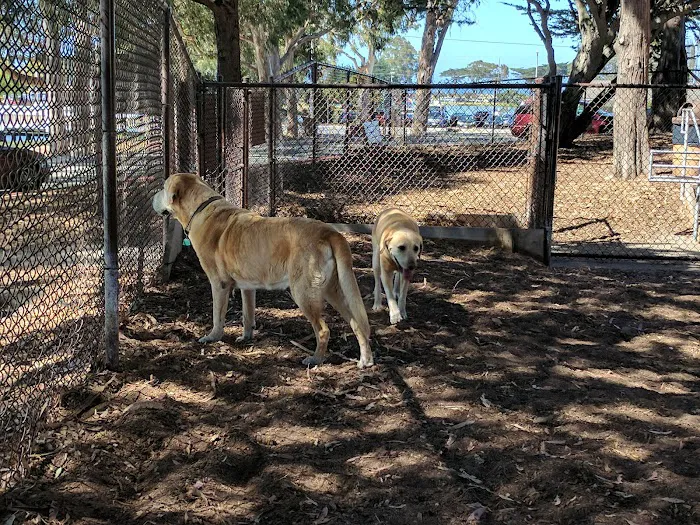El Estero Lake Dog Park 2