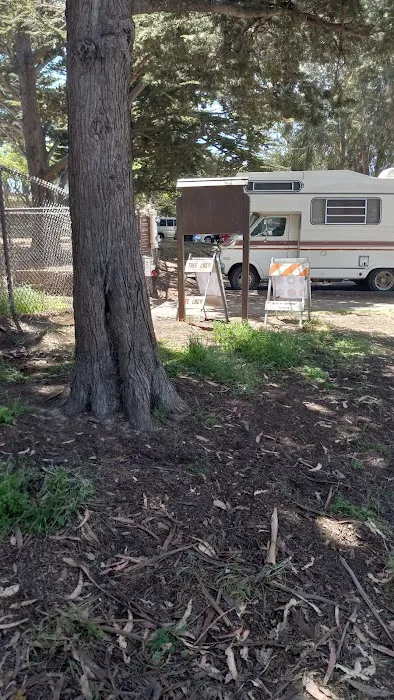 El Estero Lake Dog Park 4