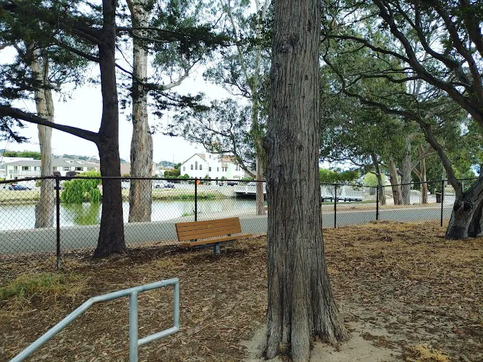 El Estero Lake Dog Park 6