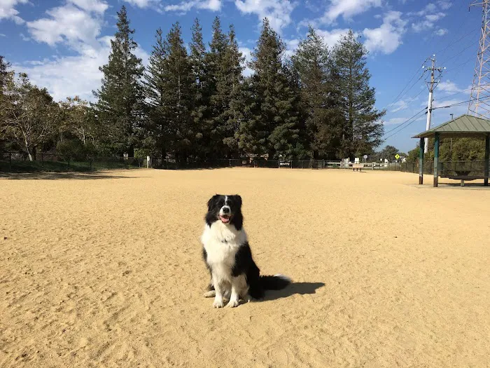 City of Mountain View Dog Park 1