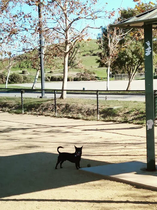 City of Mountain View Dog Park 4