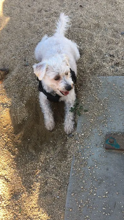 City of Mountain View Dog Park 2