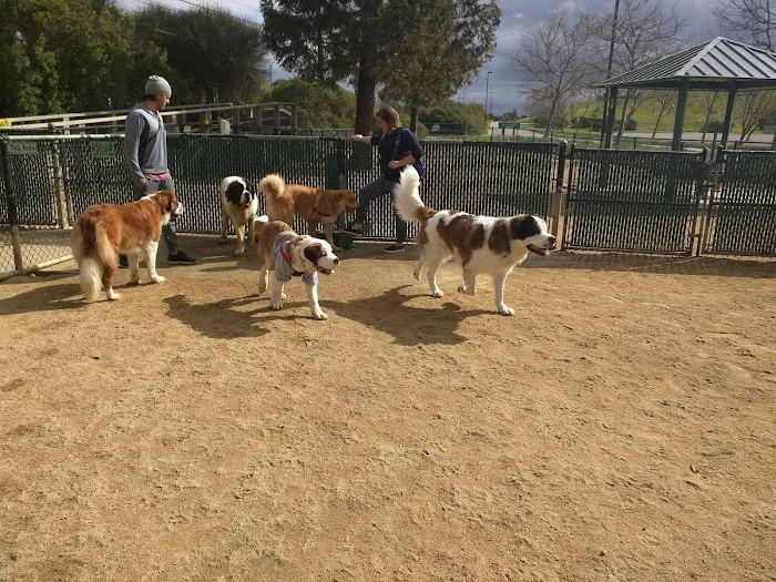 City of Mountain View Dog Park 10