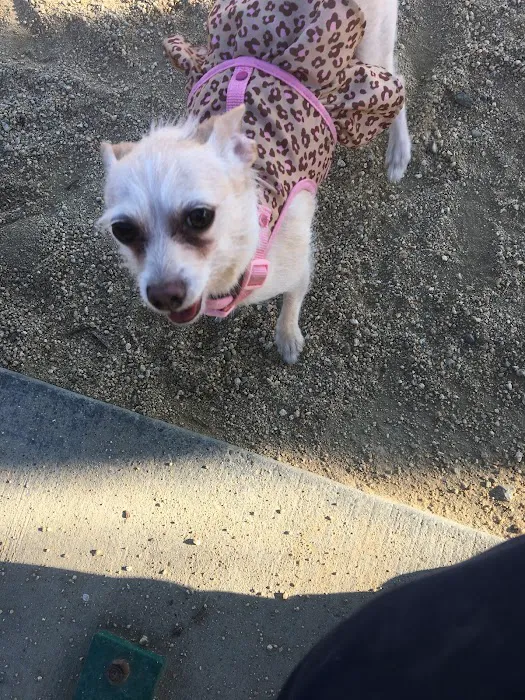 City of Mountain View Dog Park 5