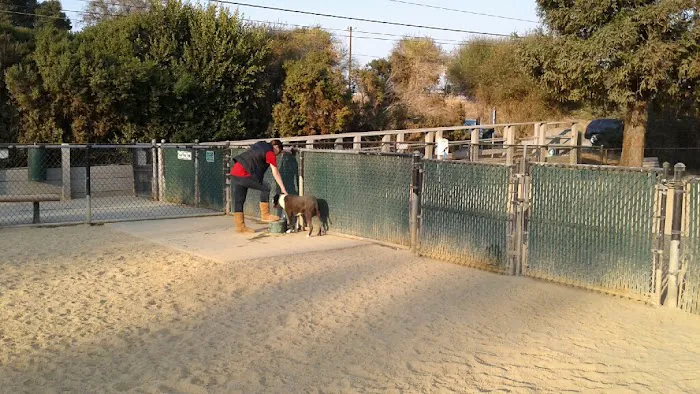 City of Mountain View Dog Park 8