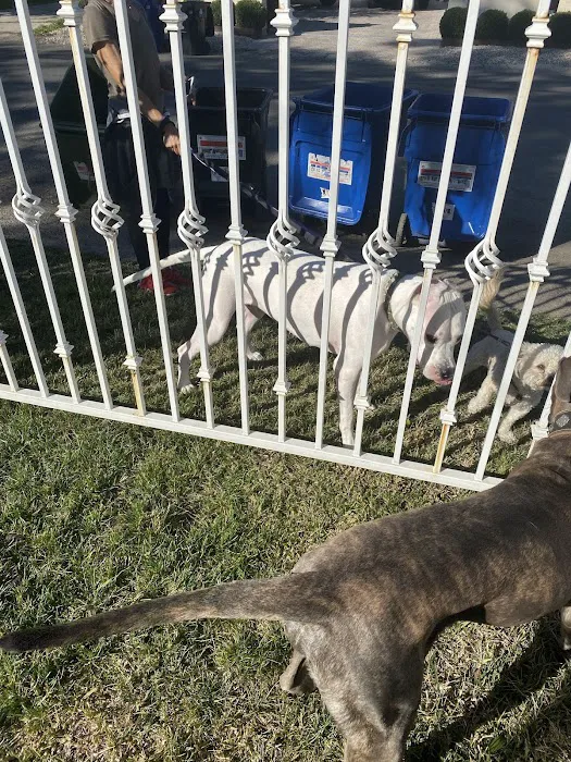Hart's Dog Park 8