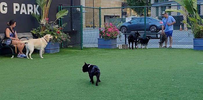 Hart's Dog Park 1