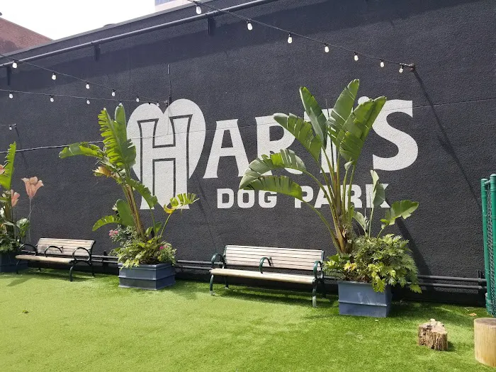 Hart's Dog Park 3