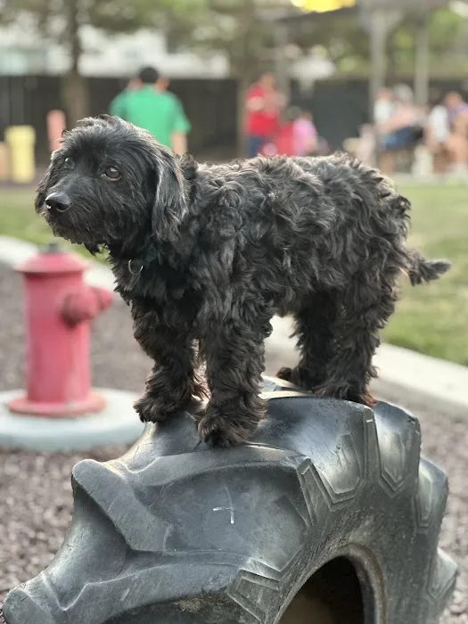 Newman Community Dog Park 3