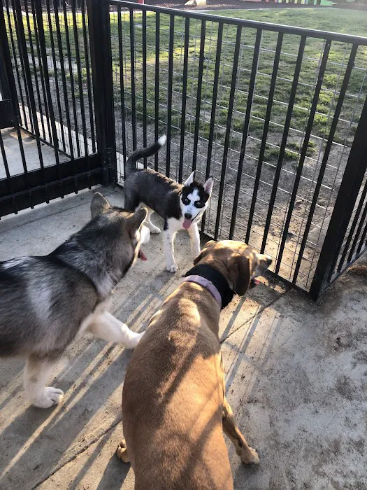 Newman Community Dog Park 2