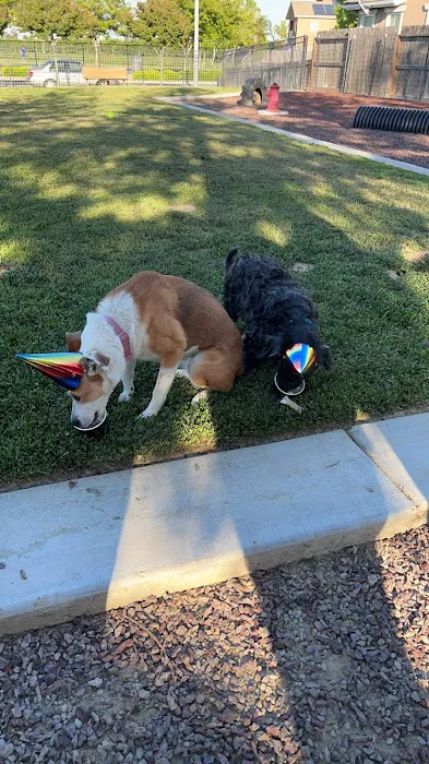 Newman Community Dog Park 1