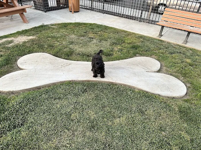 Newman Community Dog Park 10