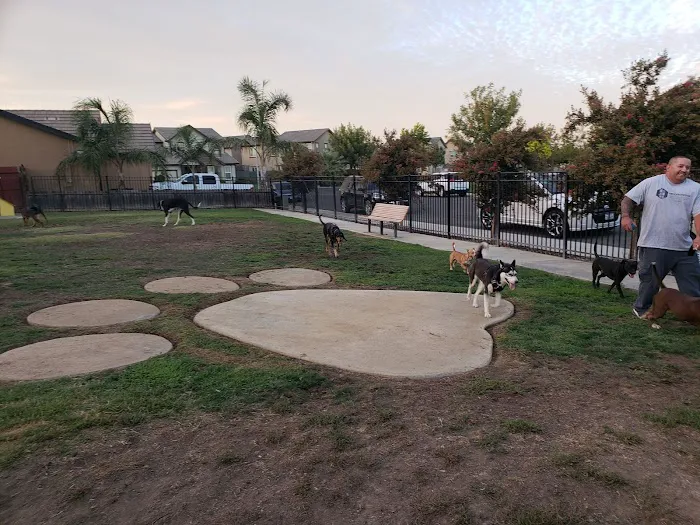 Newman Community Dog Park 5