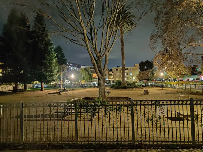 City Hall Dog Park 7