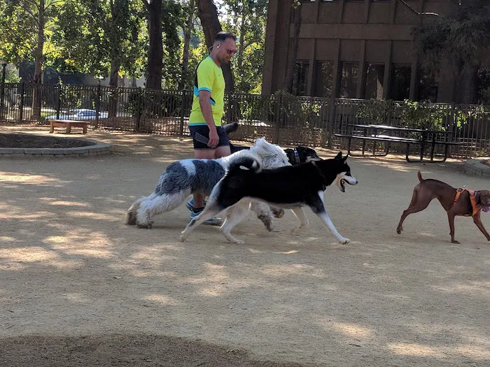 City Hall Dog Park 10