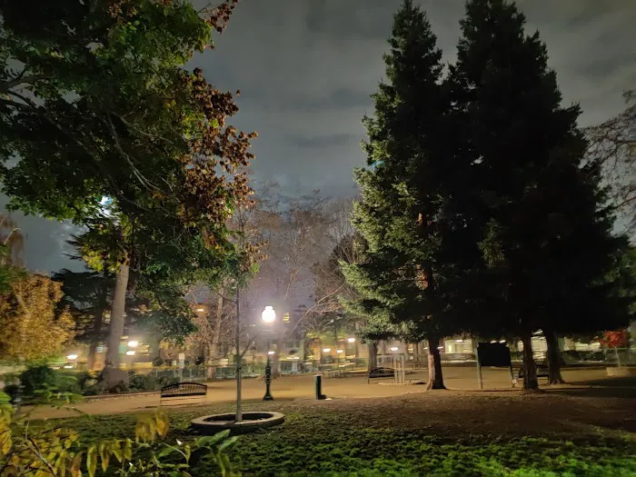 City Hall Dog Park 5