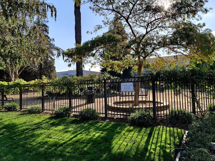 City Hall Dog Park 9