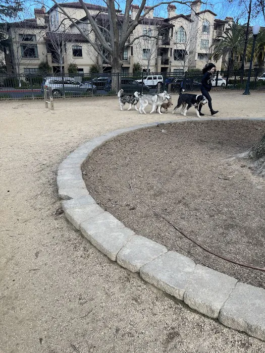 City Hall Dog Park 2
