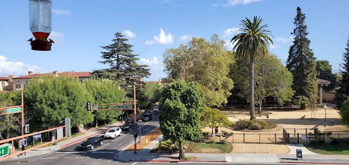 City Hall Dog Park 4