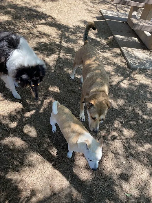 Saratoga Creek Dog Park, San Jose, CA 8
