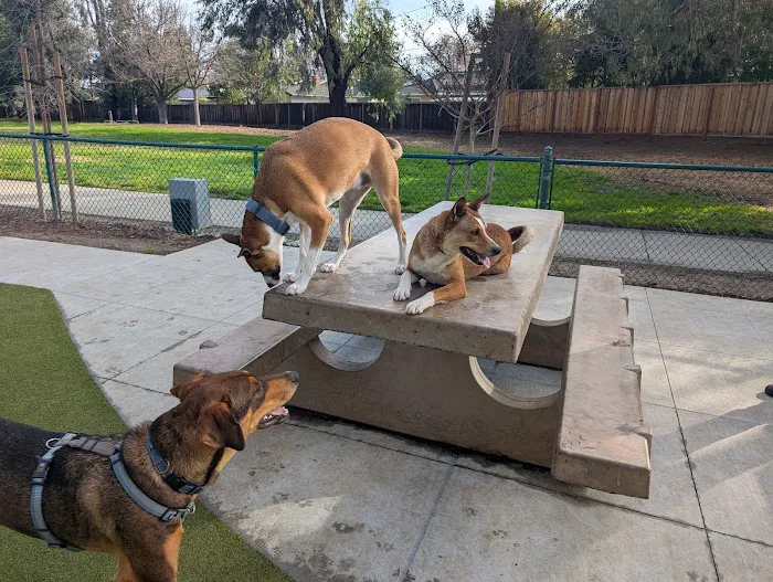 Saratoga Creek Dog Park, San Jose, CA 10