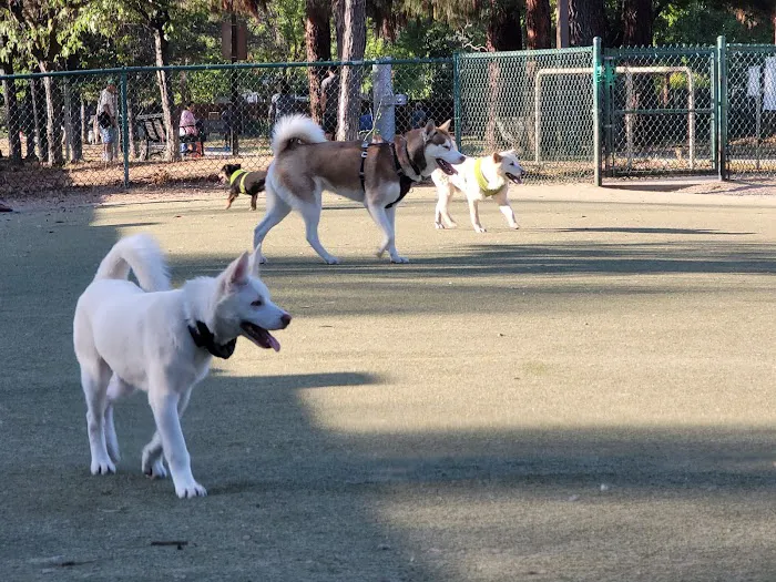 Saratoga Creek Dog Park, San Jose, CA 9