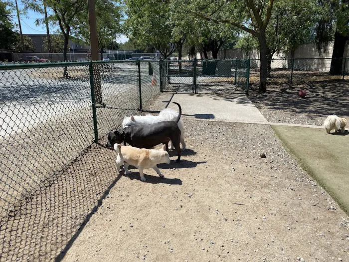 Saratoga Creek Dog Park, San Jose, CA 1