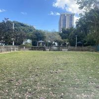 Dog park ico