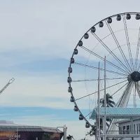 Bayfront Dog Park ico