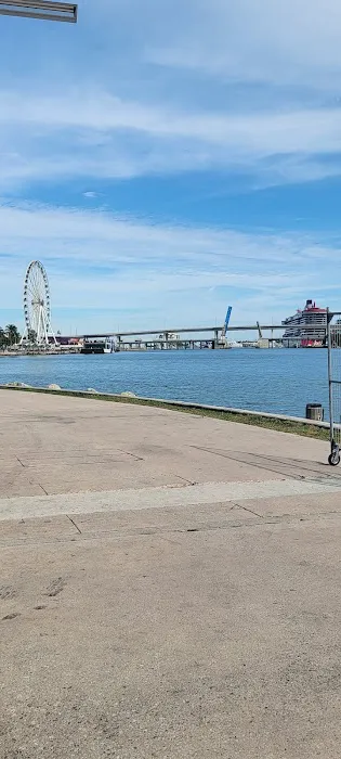 Bayfront Dog Park 6
