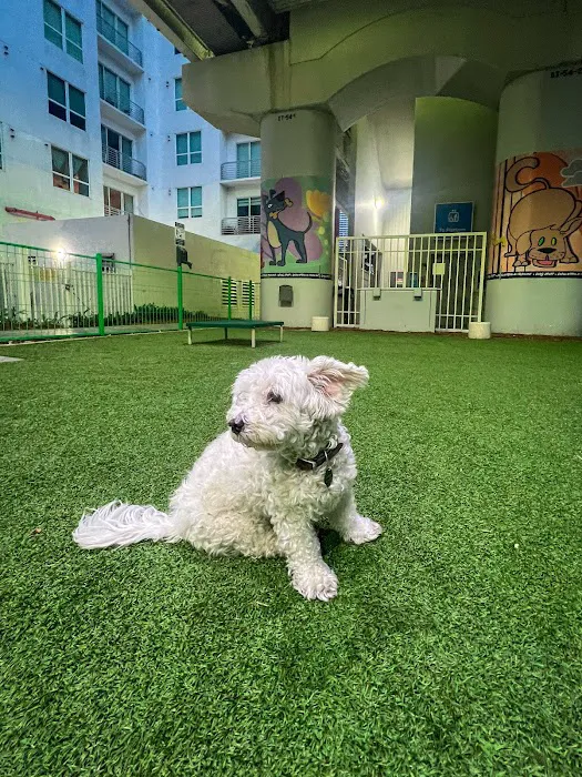 Biscuit’s Dog Park 3