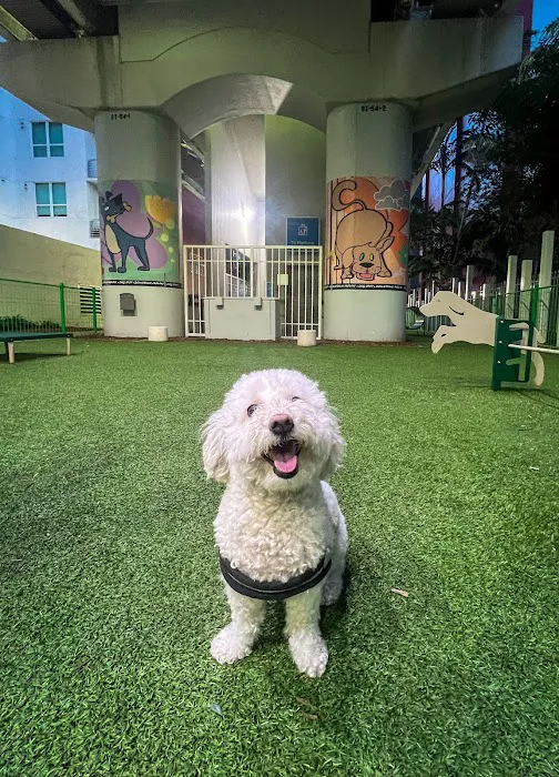Biscuit’s Dog Park 7