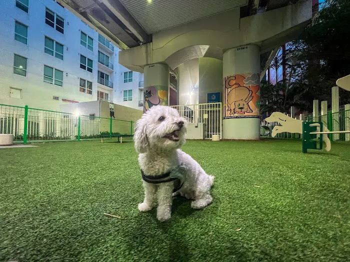 Biscuit’s Dog Park 4