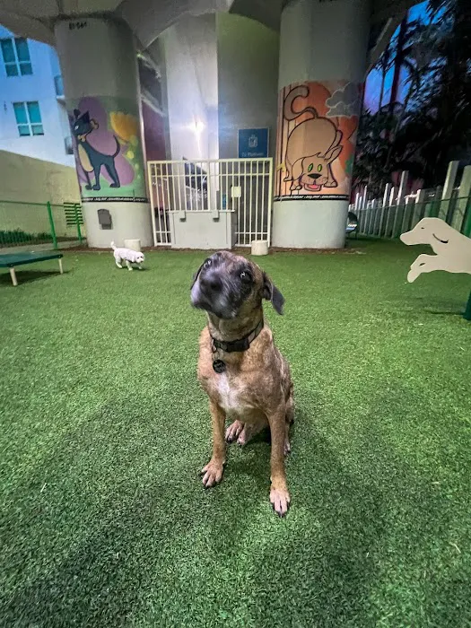 Biscuit’s Dog Park 5
