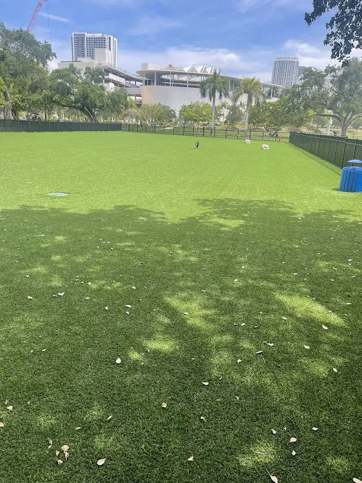 Dog Park 1