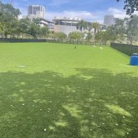Dog Park ico