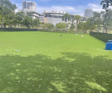 Dog Park