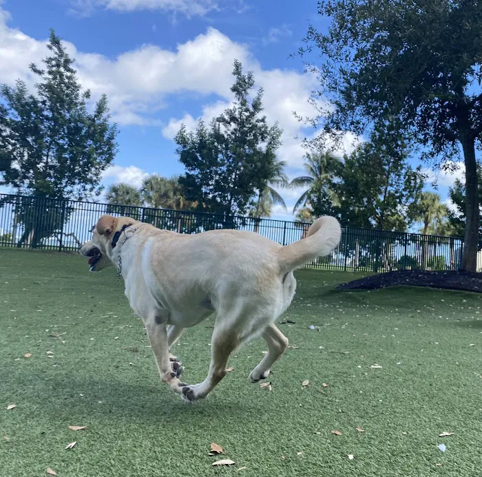 Dog Park - Margaret Pace Park 6